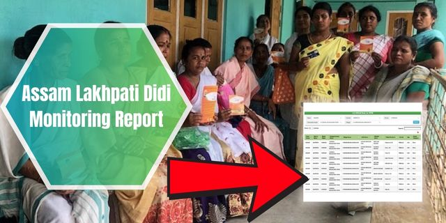 Assam Lakhpati Didi Monitoring Report 2025: How to Check Online Easily